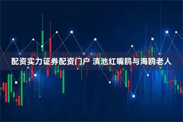 配资实力证券配资门户 滇池红嘴鸥与海鸥老人