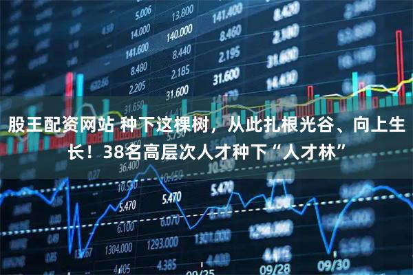 股王配资网站 种下这棵树，从此扎根光谷、向上生长！38名高层次人才种下“人才林”